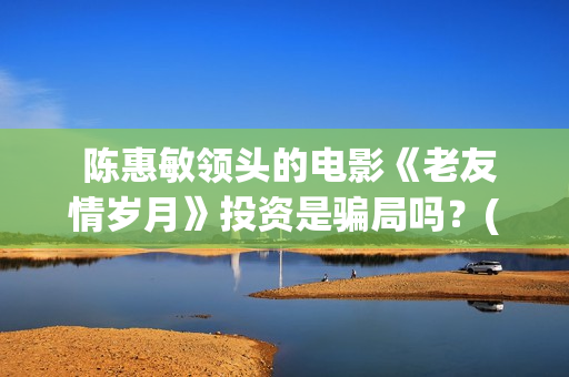  陈惠敏领头的电影《老友情岁月》投资是骗局吗？(陈惠敏个人)