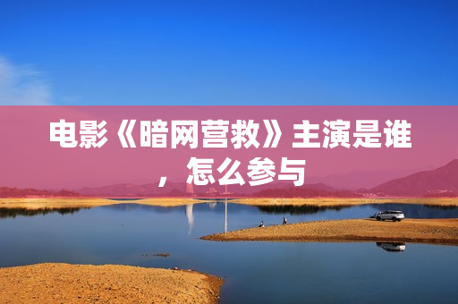 电影《暗网营救》主演是谁，怎么参与