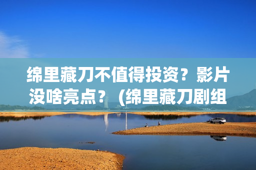 绵里藏刀不值得投资？影片没啥亮点？ (绵里藏刀剧组)