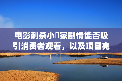 电影刺杀小説家剧情能否吸引消费者观看，以及项目亮点跟投资风险？ (电影刺杀小说家2免费观看)