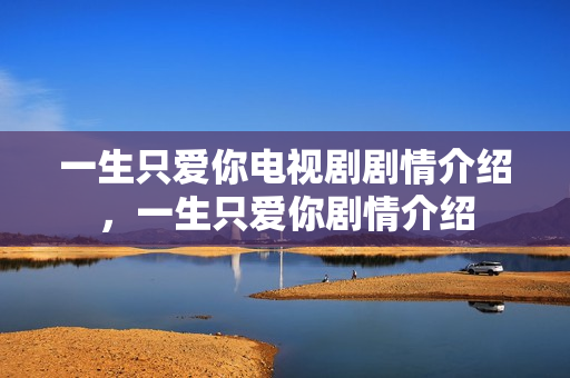 一生只爱你电视剧剧情介绍，一生只爱你剧情介绍