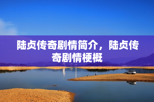 陆贞传奇剧情简介，陆贞传奇剧情梗概