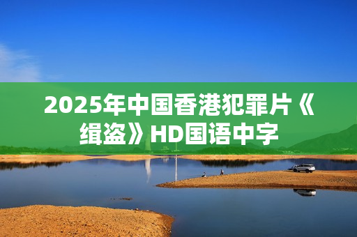 2025年中国香港犯罪片《缉盗》HD国语中字