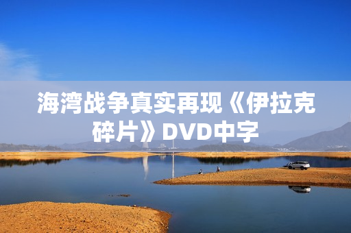 海湾战争真实再现《伊拉克碎片》DVD中字