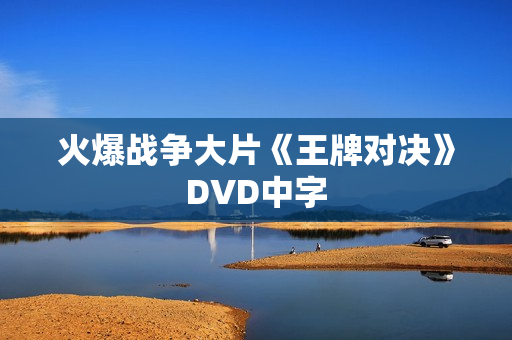 火爆战争大片《王牌对决》DVD中字