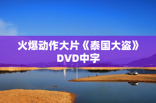 火爆动作大片《泰国大盗》DVD中字