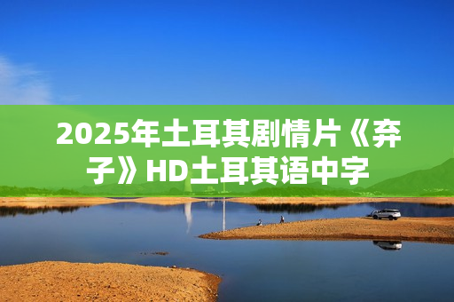 2025年土耳其剧情片《弃子》HD土耳其语中字
