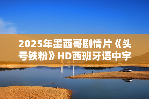 2025年墨西哥剧情片《头号铁粉》HD西班牙语中字