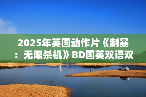 2025年英国动作片《制暴：无限杀机》BD国英双语双字修正版