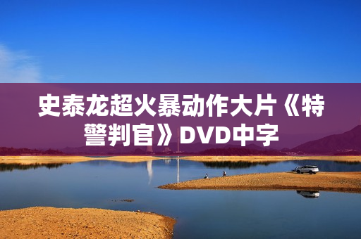 史泰龙超火暴动作大片《特警判官》DVD中字