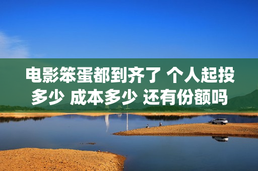 电影笨蛋都到齐了 个人起投多少 成本多少 还有份额吗(笨蛋都到齐了主题曲)