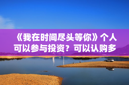 《我在时间尽头等你》个人可以参与投资？可以认购多少份额？(我在时间尽头等你小说免费阅读)