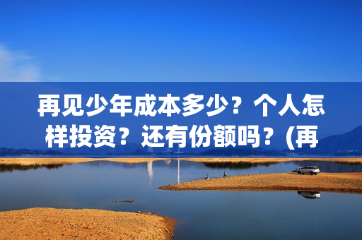 再见少年成本多少？个人怎样投资？还有份额吗？(再见少年到底怎么了)