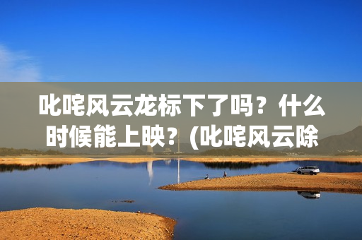 叱咤风云龙标下了吗？什么时候能上映？(叱咤风云除了龙还有谁)