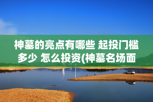 神墓的亮点有哪些 起投门槛多少 怎么投资(神墓名场面)