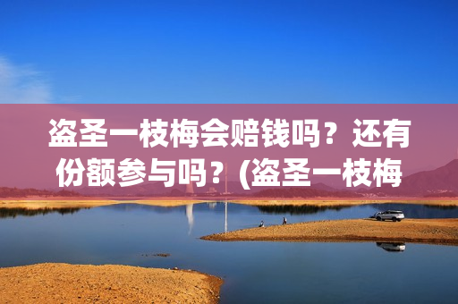 盗圣一枝梅会赔钱吗？还有份额参与吗？(盗圣一枝梅演员)