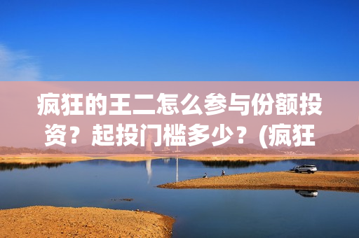 疯狂的王二怎么参与份额投资？起投门槛多少？(疯狂的王二怎么下载安装)
