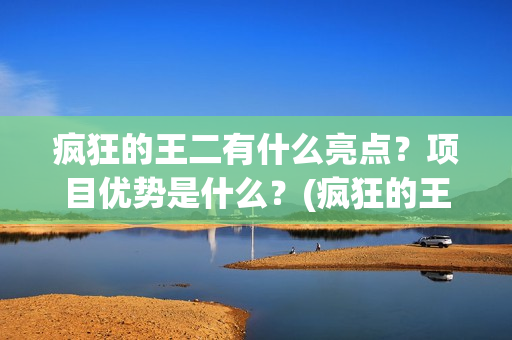 疯狂的王二有什么亮点？项目优势是什么？(疯狂的王二有什么好玩的)
