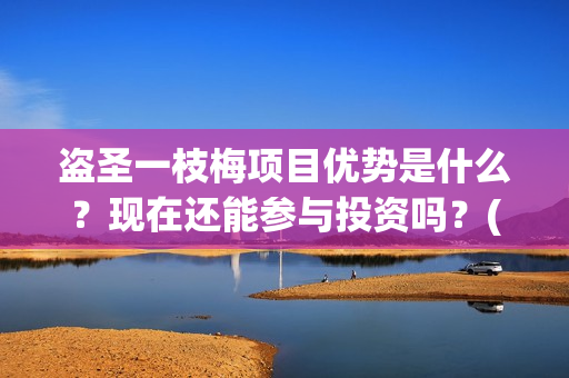 盗圣一枝梅项目优势是什么？现在还能参与投资吗？(盗侠一枝梅)