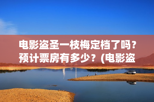 电影盗圣一枝梅定档了吗？预计票房有多少？(电影盗圣一枝梅简介)