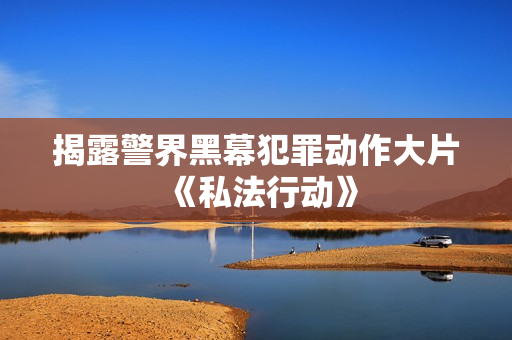 揭露警界黑幕犯罪动作大片《私法行动》