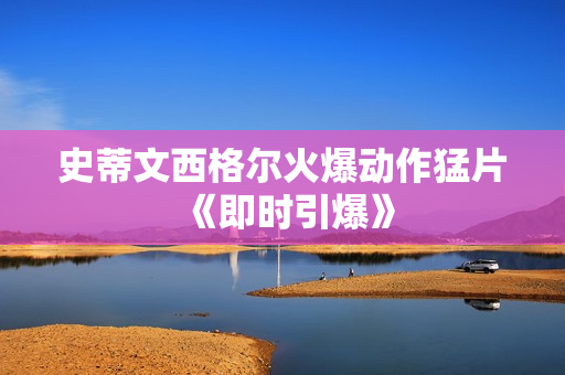 史蒂文西格尔火爆动作猛片《即时引爆》