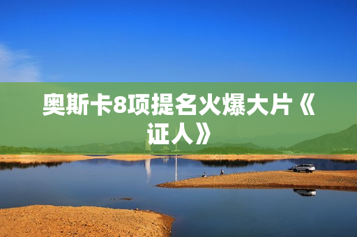 奥斯卡8项提名火爆大片《证人》