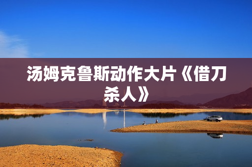 汤姆克鲁斯动作大片《借刀杀人》