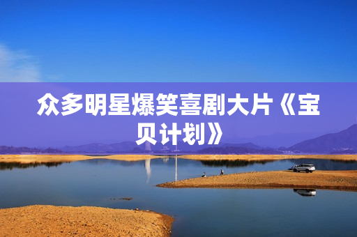 众多明星爆笑喜剧大片《宝贝计划》