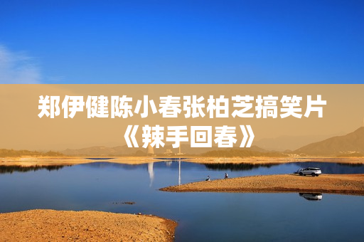郑伊健陈小春张柏芝搞笑片《辣手回春》