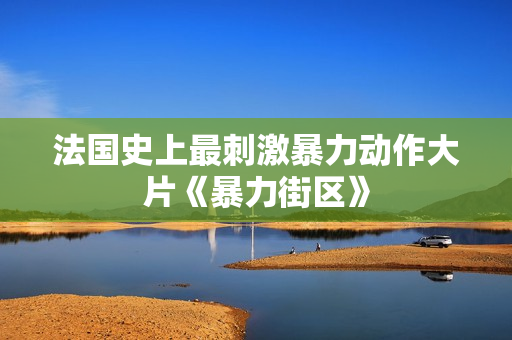 法国史上最刺激暴力动作大片《暴力街区》