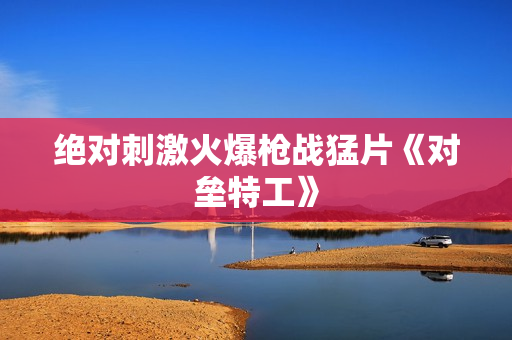 绝对刺激火爆枪战猛片《对垒特工》