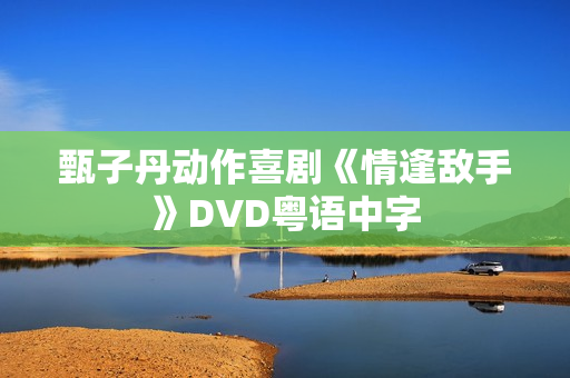 甄子丹动作喜剧《情逢敌手》DVD粤语中字