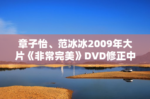 章子怡、范冰冰2009年大片《非常完美》DVD修正中字