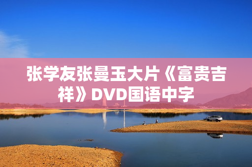 张学友张曼玉大片《富贵吉祥》DVD国语中字