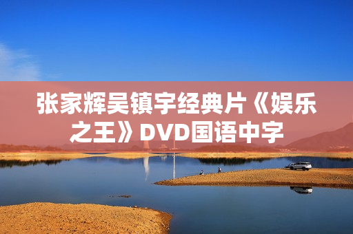 张家辉吴镇宇经典片《娱乐之王》DVD国语中字