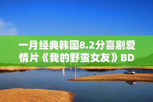 一月经典韩国8.2分喜剧爱情片《我的野蛮女友》BD双语中字
