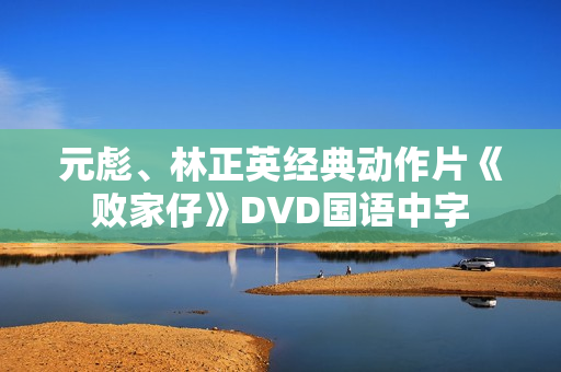 元彪、林正英经典动作片《败家仔》DVD国语中字