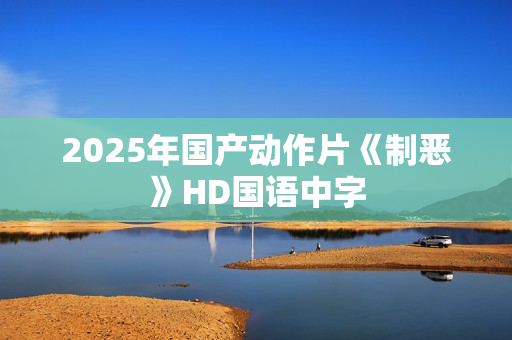 2025年国产动作片《制恶》HD国语中字