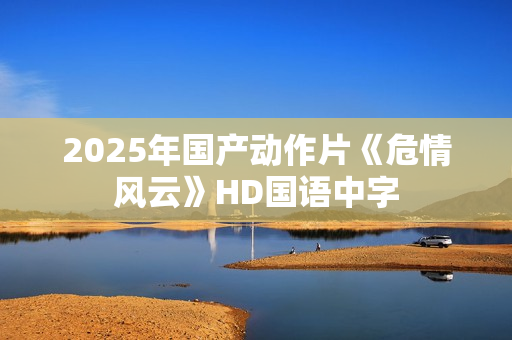2025年国产动作片《危情风云》HD国语中字
