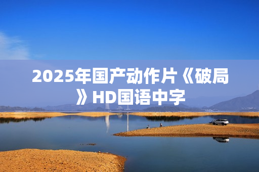 2025年国产动作片《破局》HD国语中字