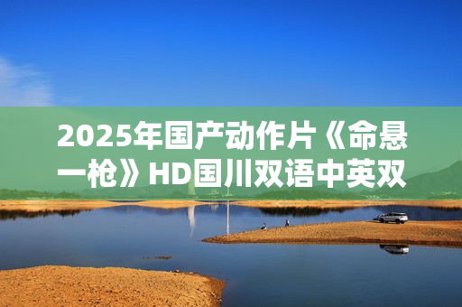 2025年国产动作片《命悬一枪》HD国川双语中英双字