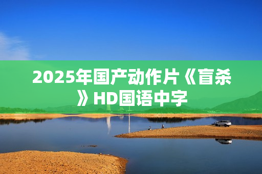 2025年国产动作片《盲杀》HD国语中字