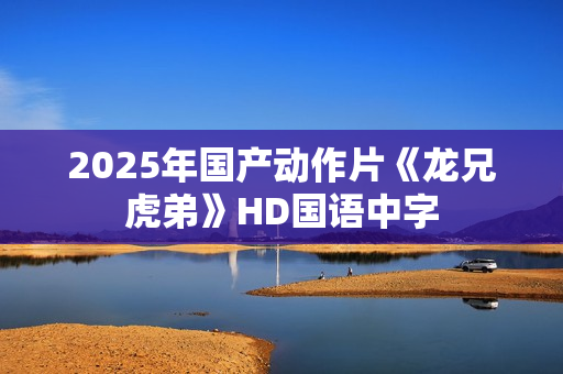 2025年国产动作片《龙兄虎弟》HD国语中字