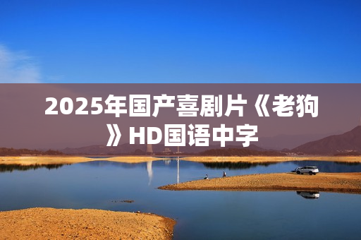 2025年国产喜剧片《老狗》HD国语中字