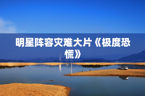 明星阵容灾难大片《极度恐慌》