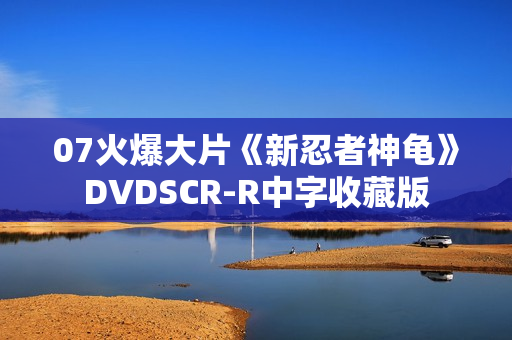 07火爆大片《新忍者神龟》DVDSCR-R中字收藏版