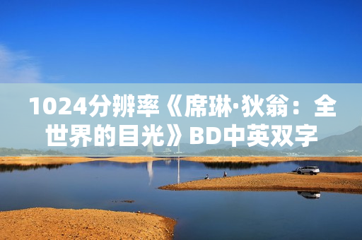 1024分辨率《席琳·狄翁：全世界的目光》BD中英双字无水印