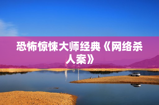 恐怖惊悚大师经典《网络杀人案》