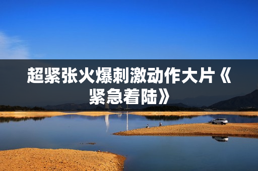 超紧张火爆刺激动作大片《紧急着陆》